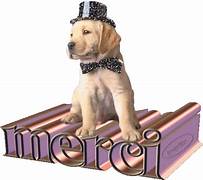 CHAPEAU ET MERCI GIF