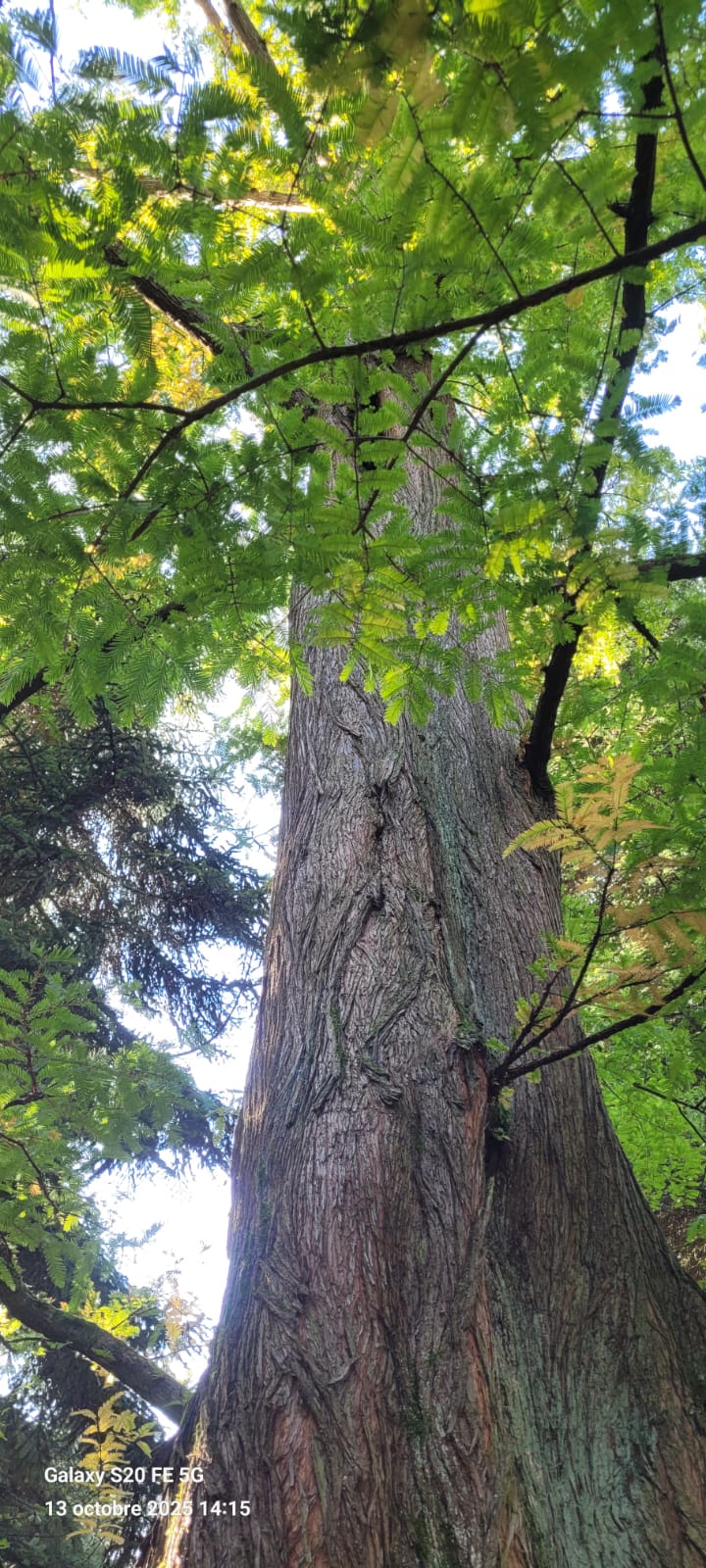 0a3f0b7c-241e-4864-8801-1fca1c4be62d