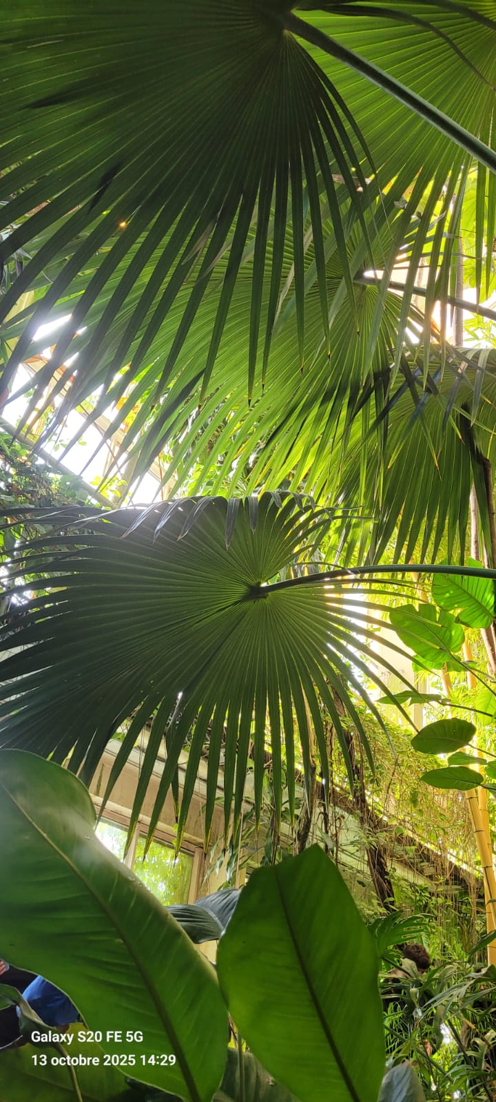 b760ed67-06fe-48b3-9563-18bb5a291dc1